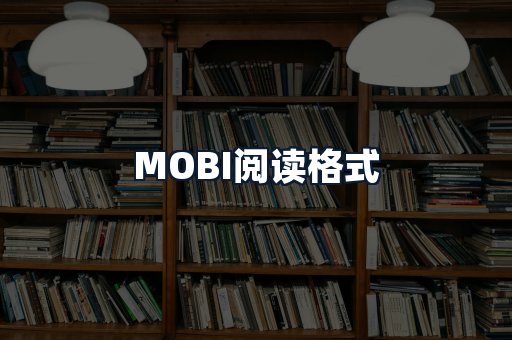 MOBI阅读格式